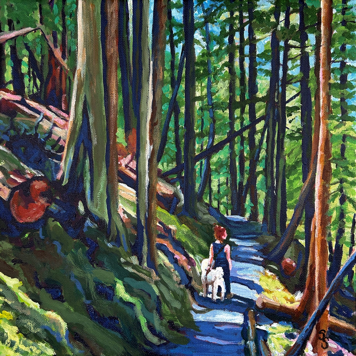 Sun-Dappled Canopy (12" x 12")