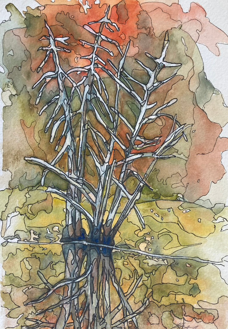 Beautiful Fall (#560)