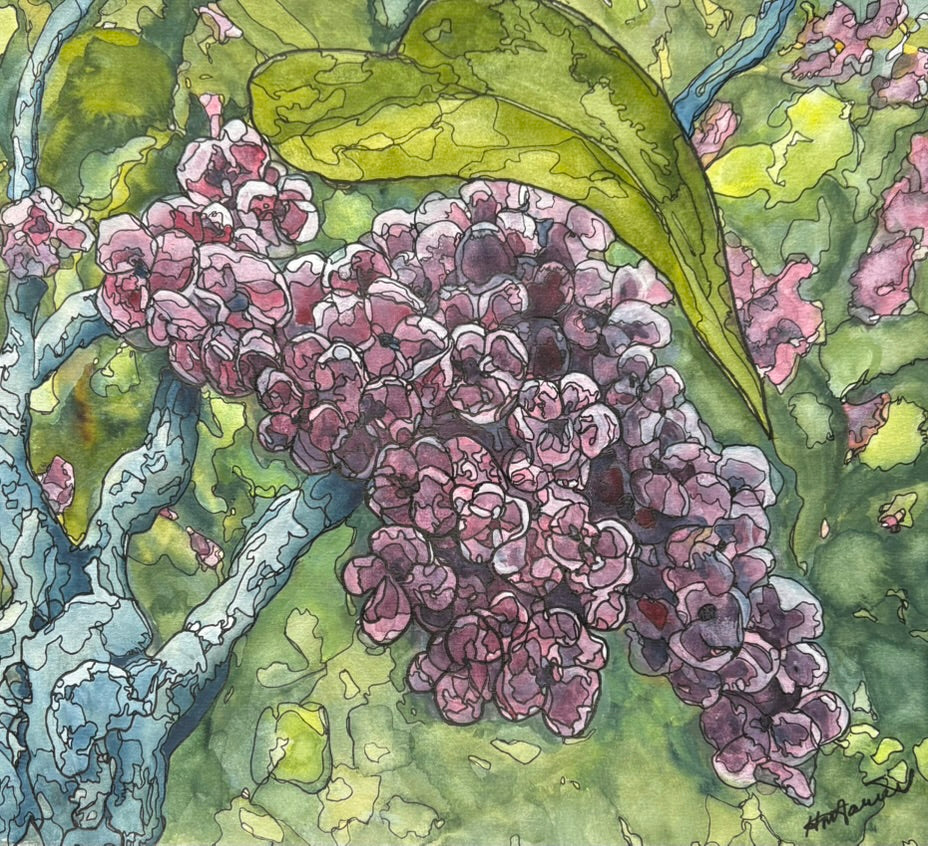 #595 – The Scent of Lilac (11" x 12")