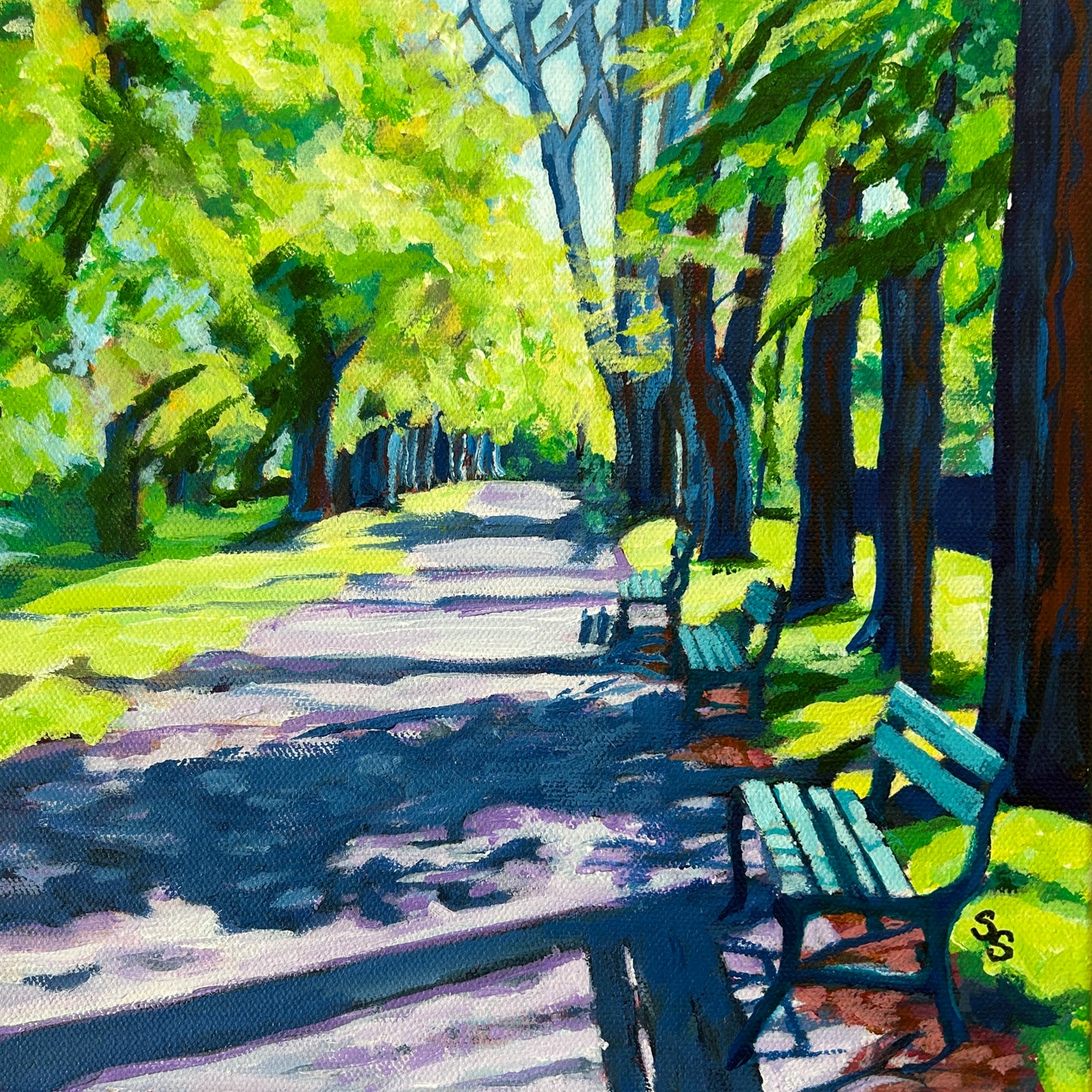 Sunlit Stroll Through the Public Gardens