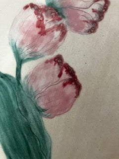 Pretty in pink , blushing in the sunshine