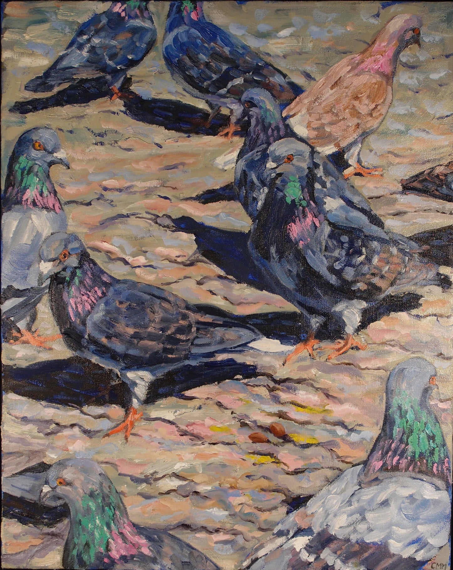 Pretty Pigeons (20 X 16)