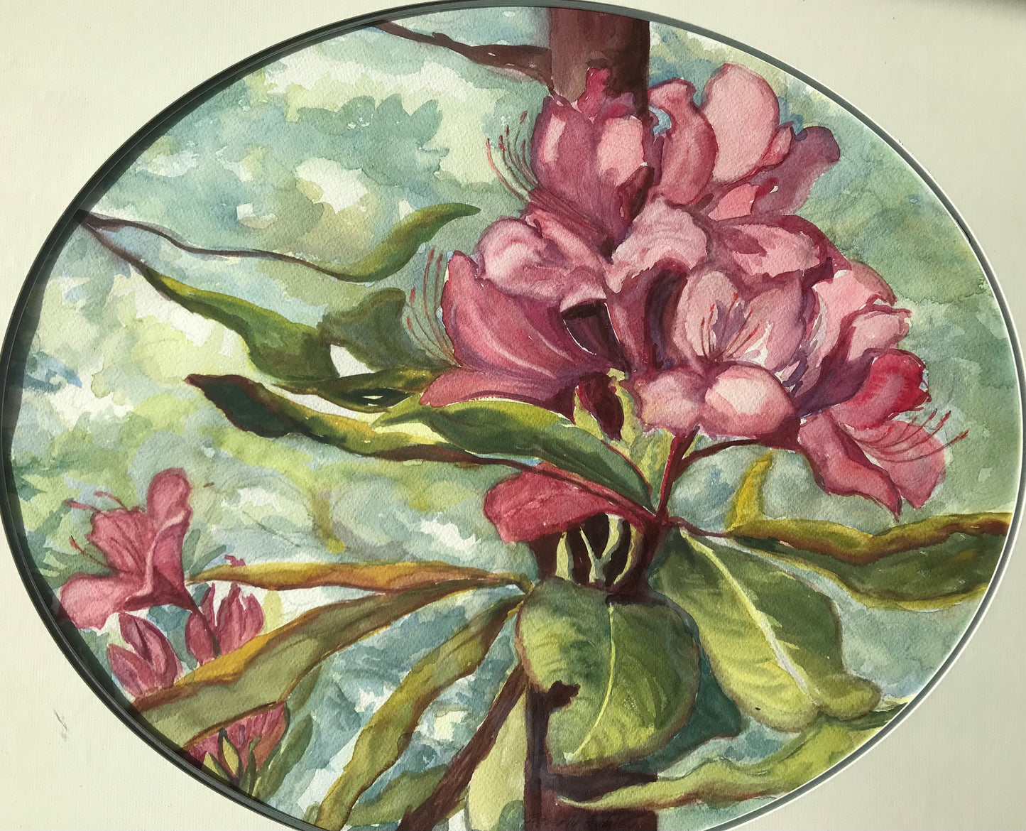 Rhododendron (26 X 18)