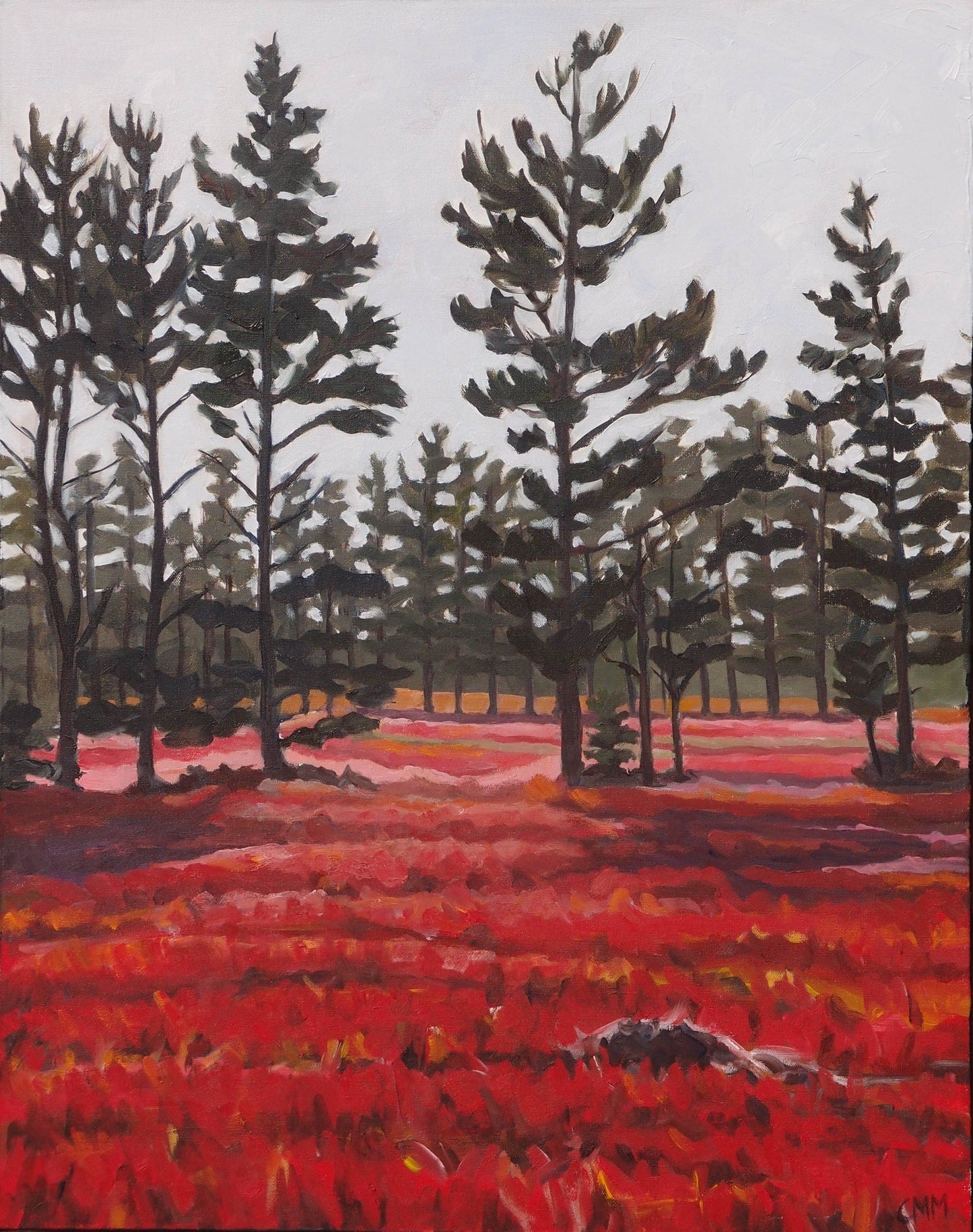 Pines and Blueberry Fields (28" x 22")