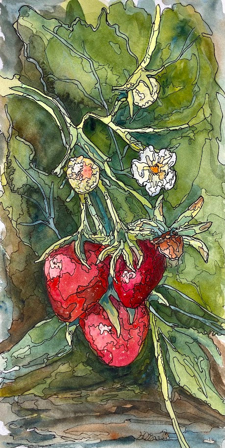 June Strawberry time I (8" x 15")
