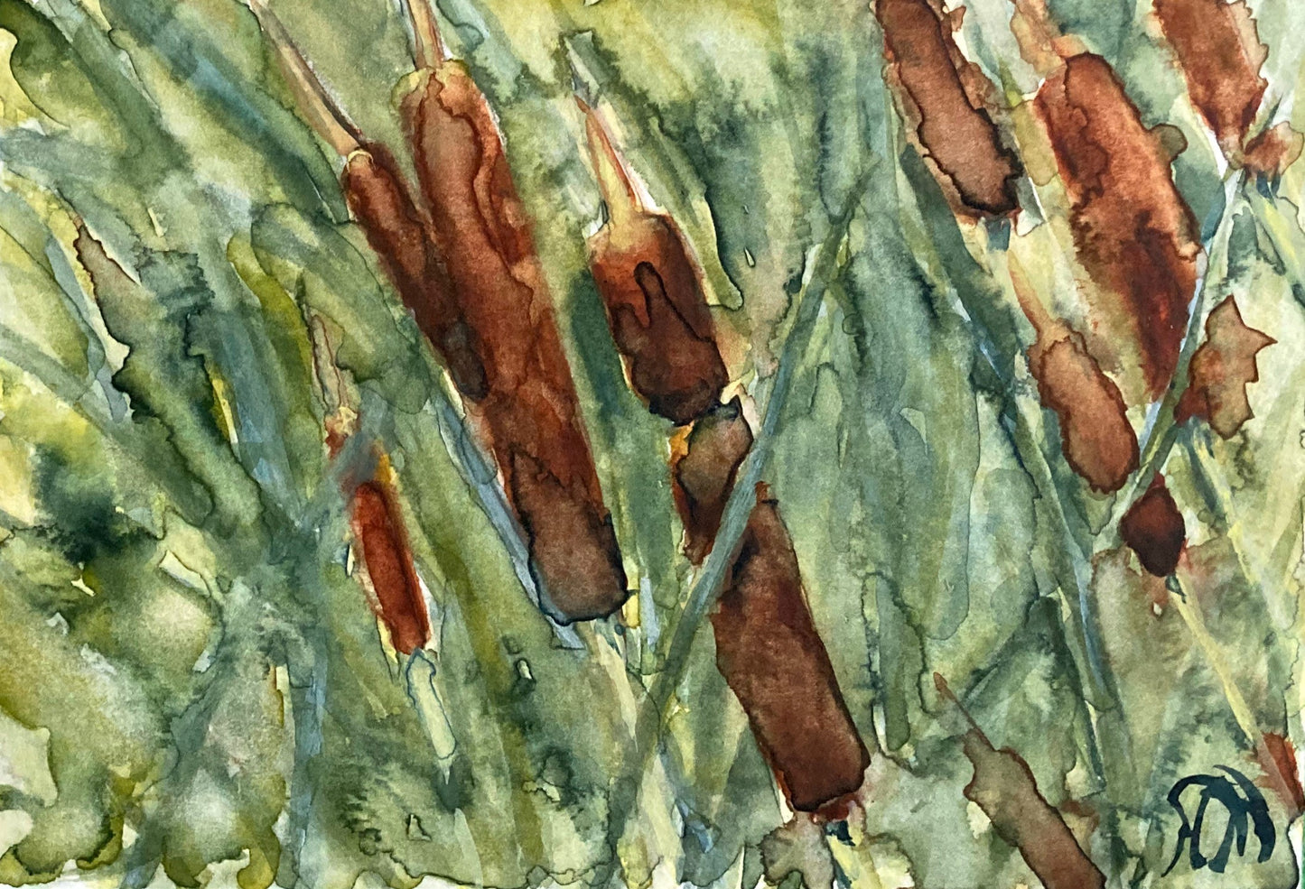 Cattails I