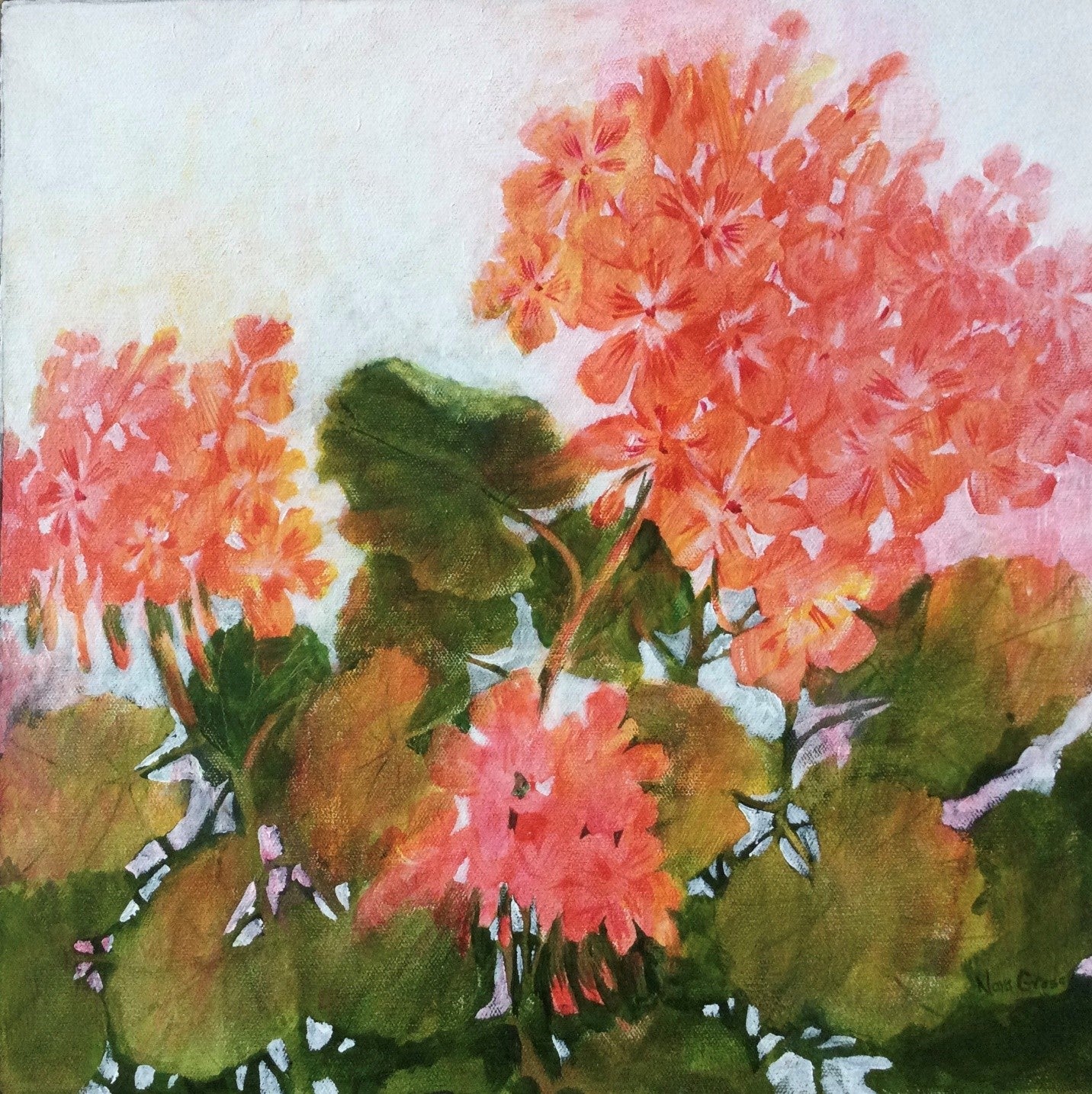 Geranium Glow (16" x 16")
