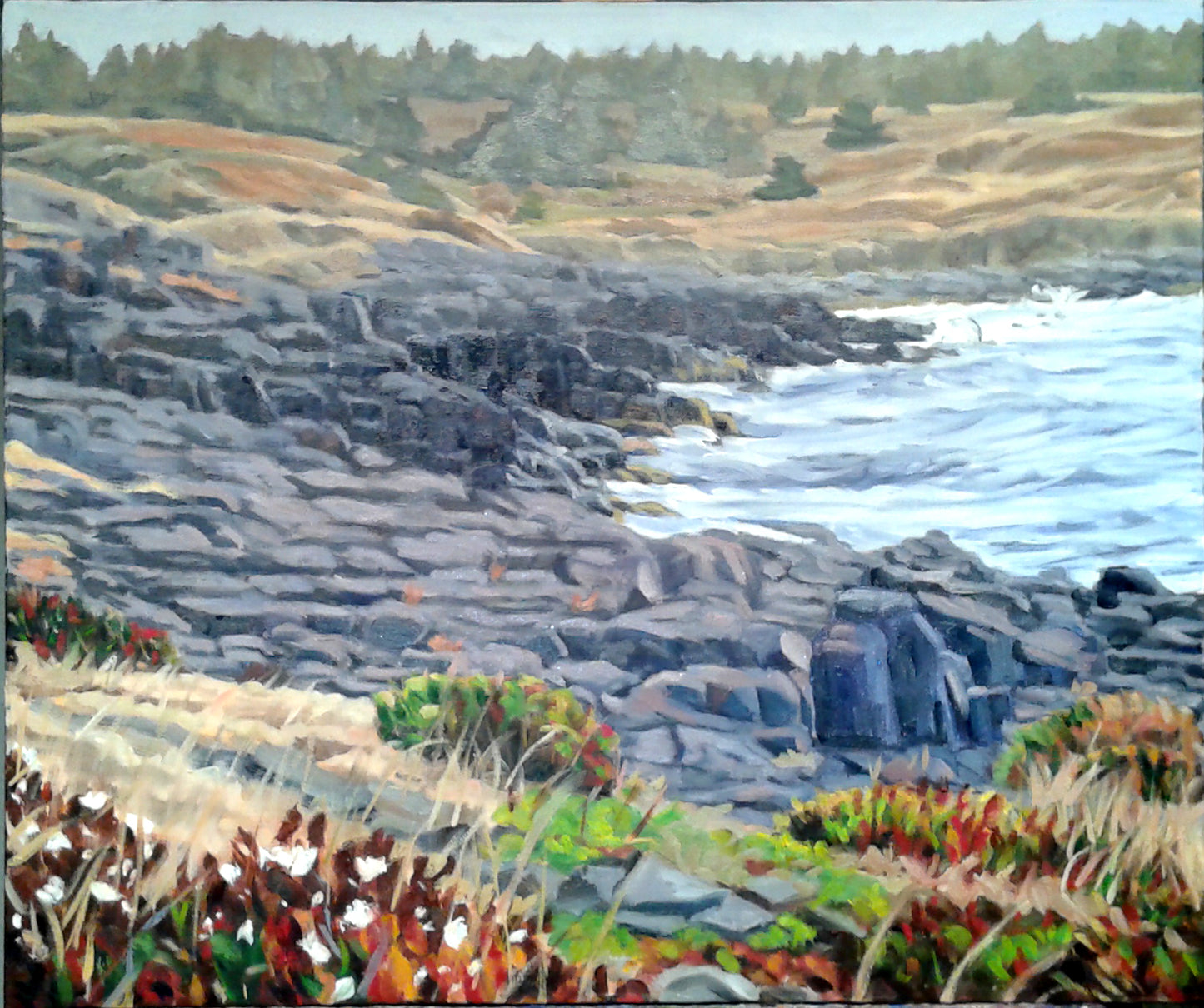 Gooseberry Cove (20" x 24")