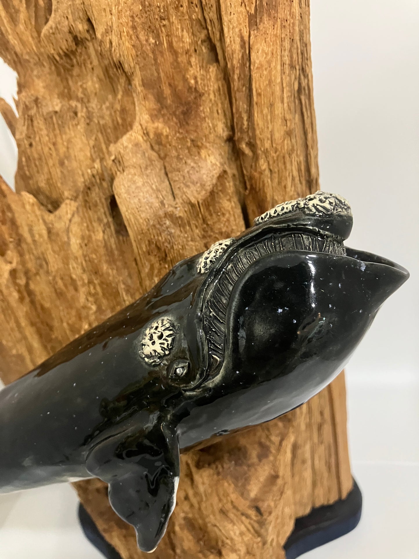 The Right Whale For Our Times