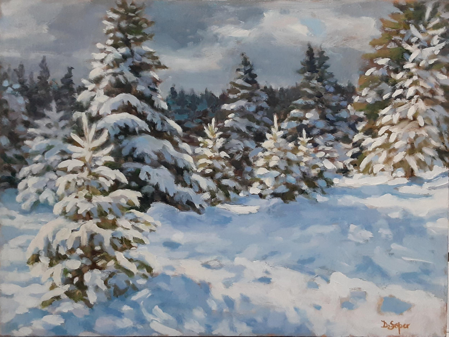 January Snow (12" x 16")