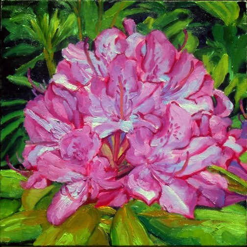 Rhododendron (12" x 12")