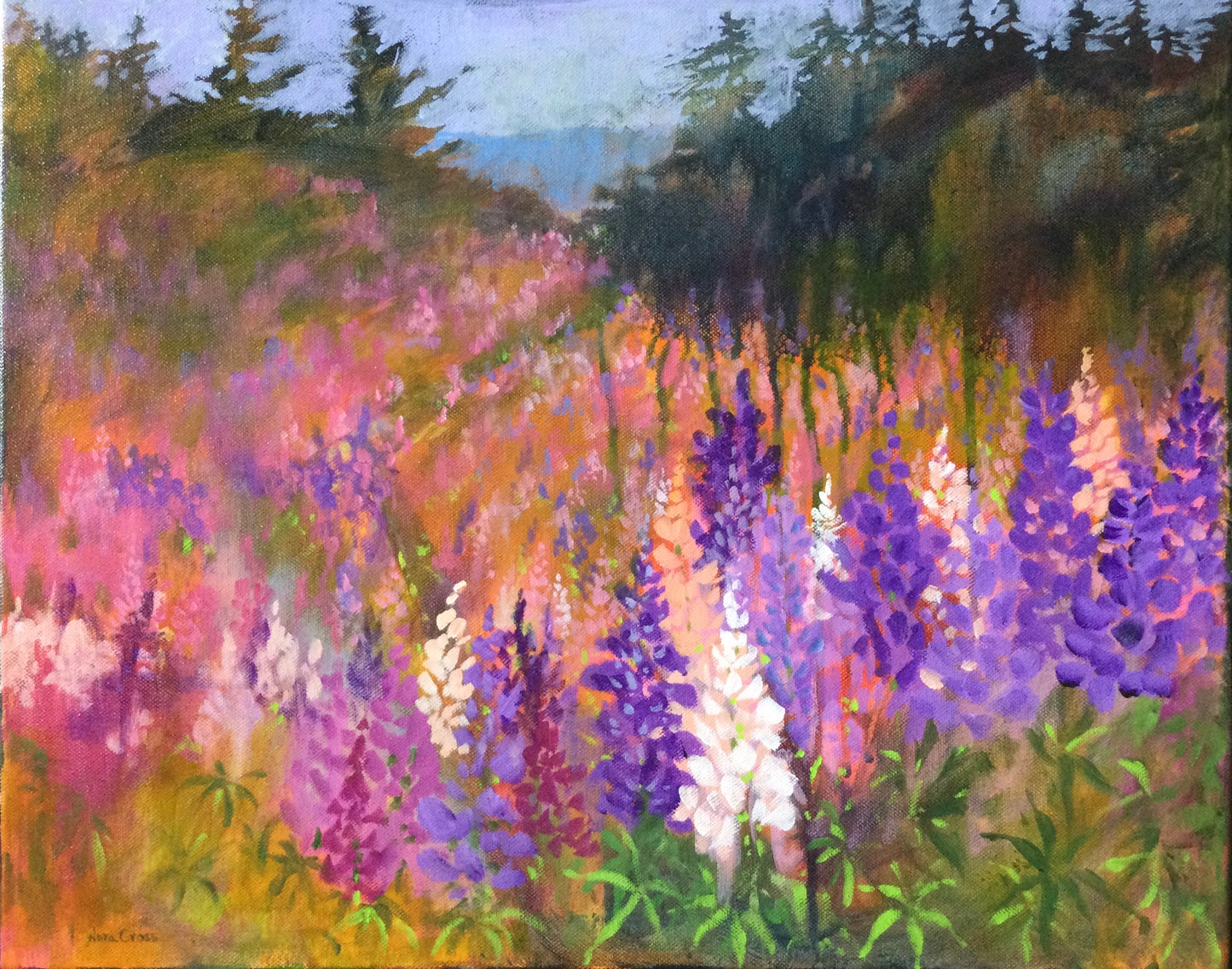 Lupine Hill, Cape Breton (16" x 20")