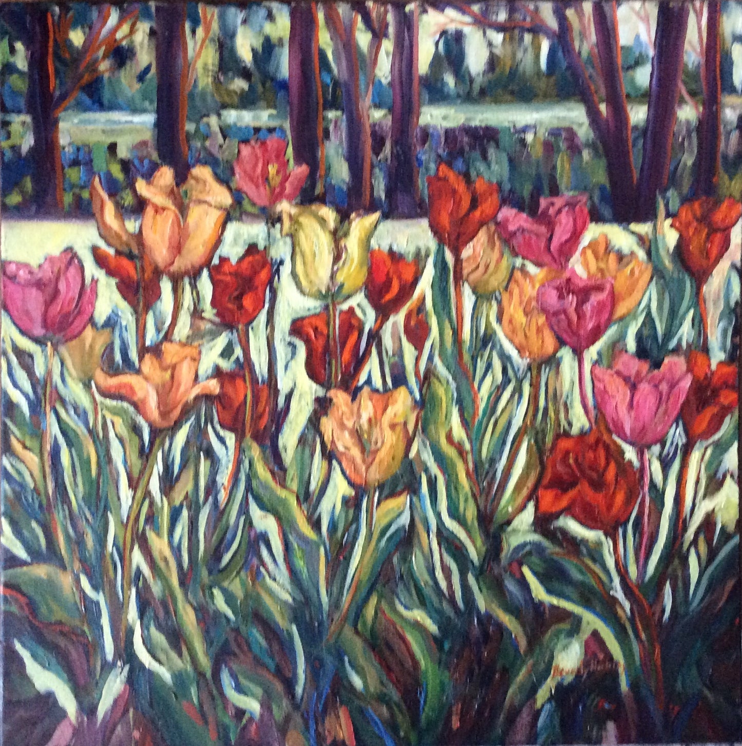 Tulip Mania (24" x 24")