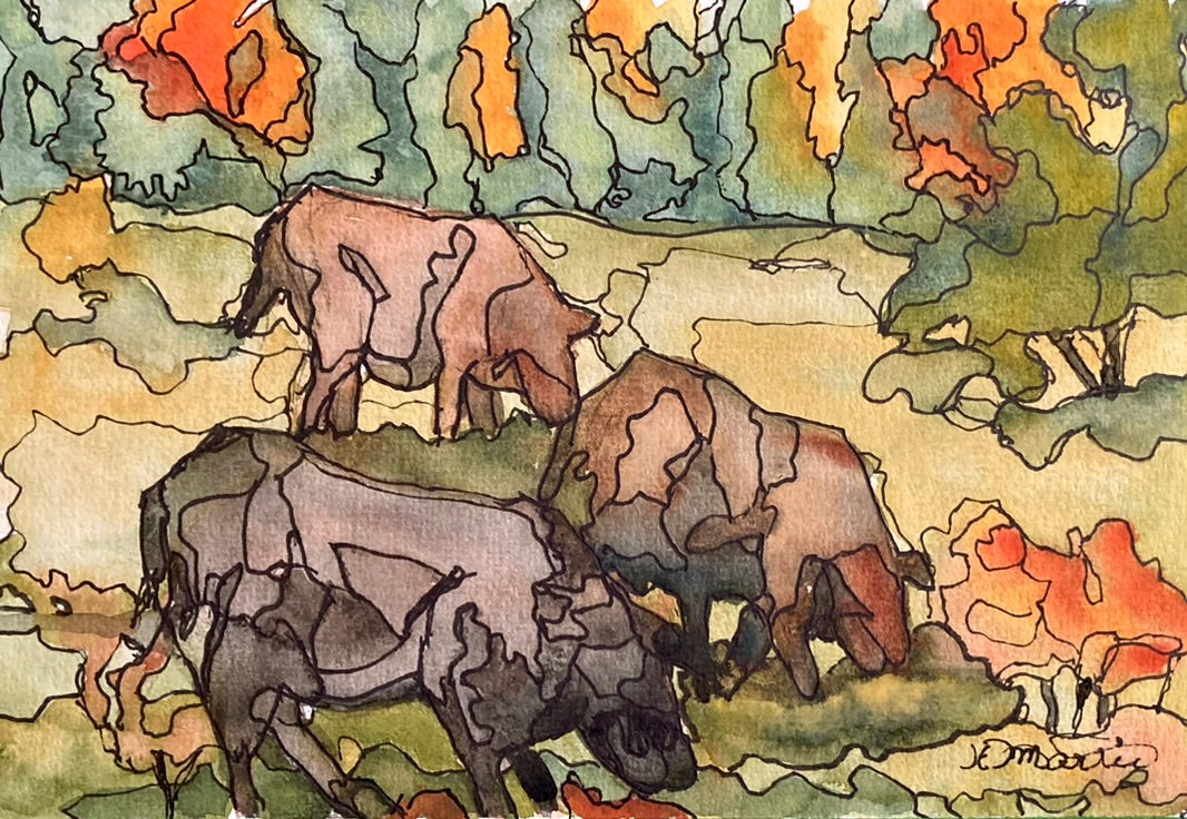 The Scoop – September 2026: The Molten Coast