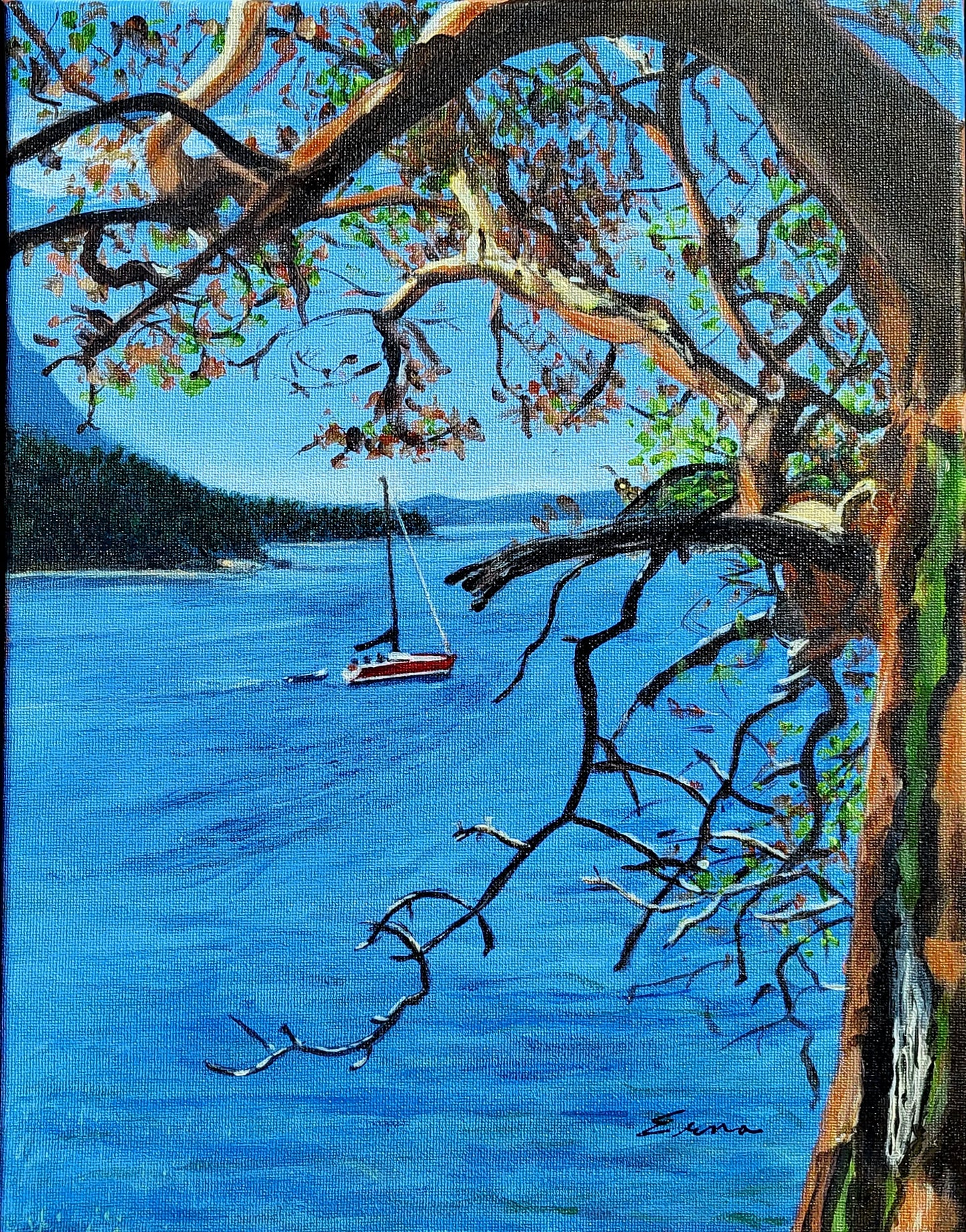 A Glimpse Through the Arbutus Tree (11" x 14")