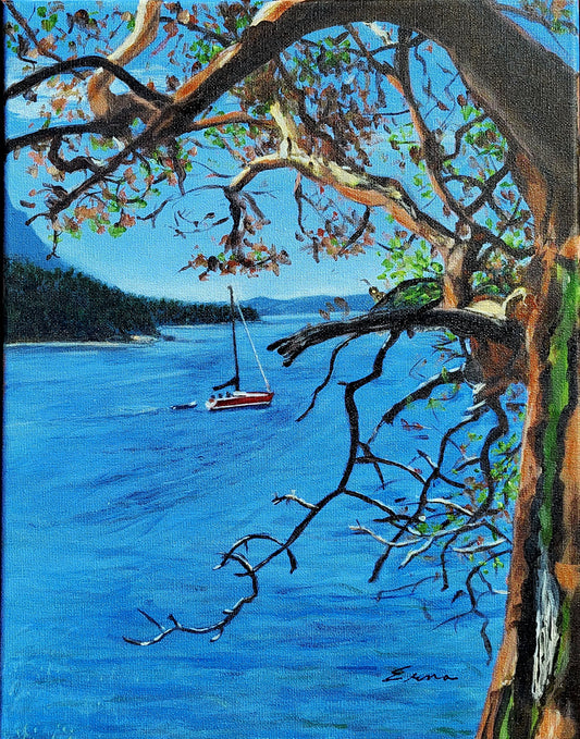 A Glimpse Through the Arbutus Tree (11" x 14")
