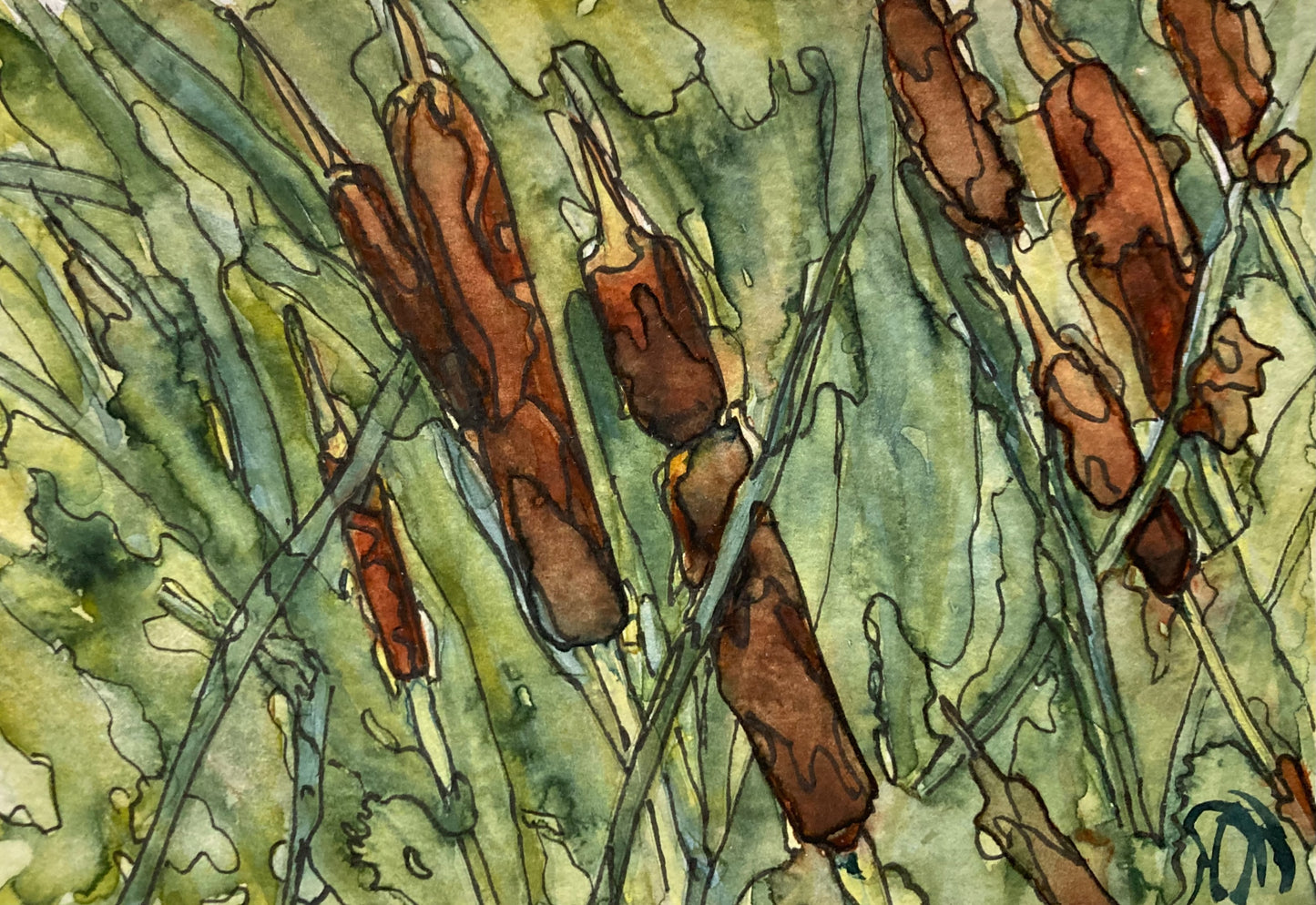Cattails I (5" x 7")