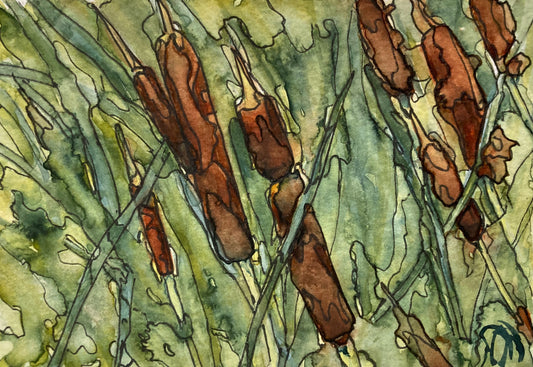 Cattails I (5" x 7")