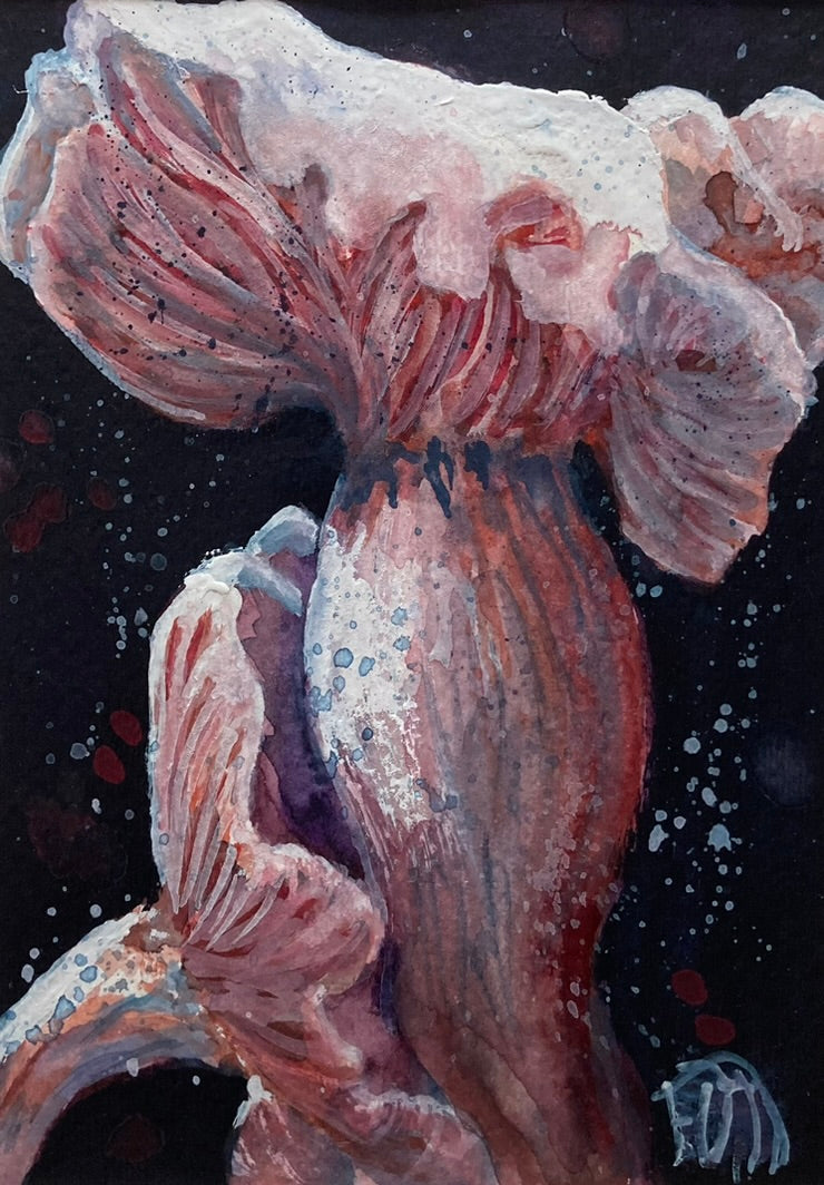 I love Mushrooms (5" x 7")