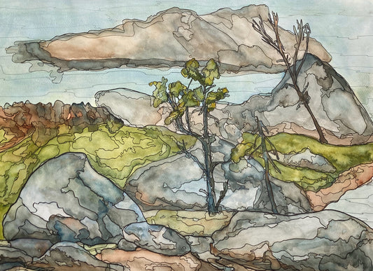 Playing with rocks, III, Salt Marsh, NS (23"x17")