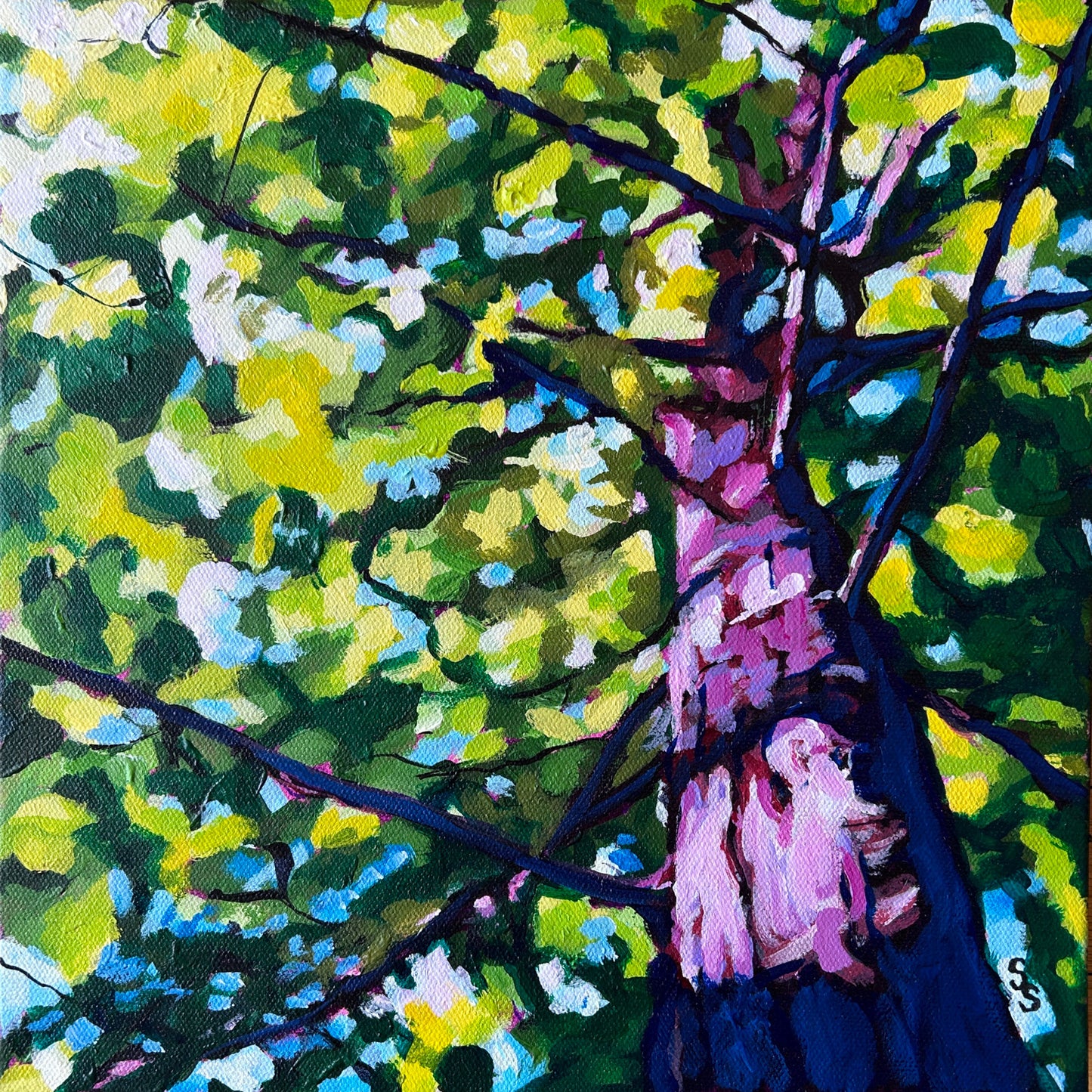 Sun-Dappled Canopy (12" x 12")