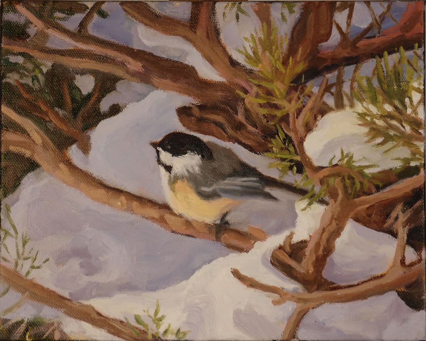 Chickadee (8 X 10)