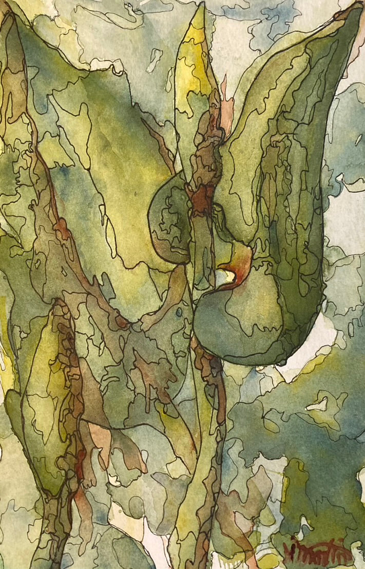 Swamp I (#426)