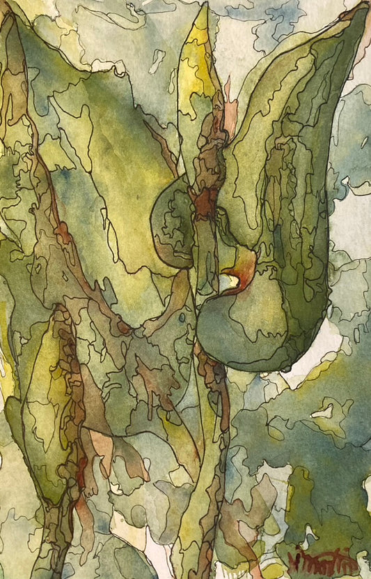 Swamp I (#426)