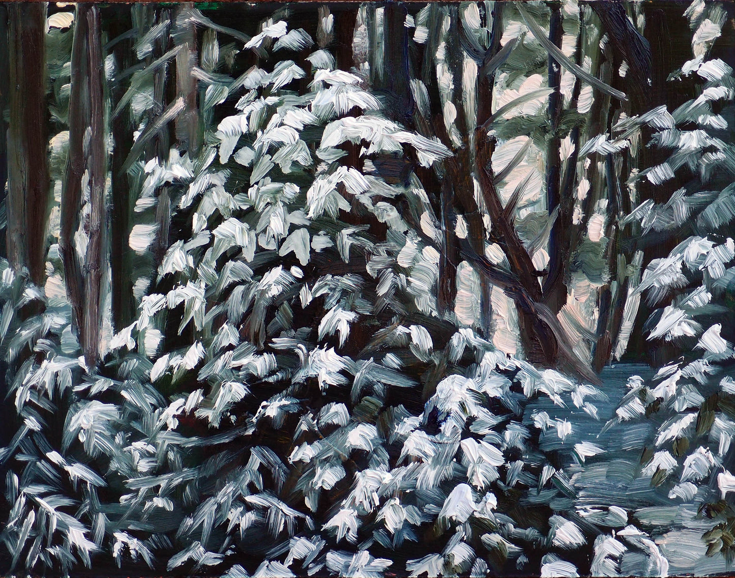Fresh Snow (8" x 10")