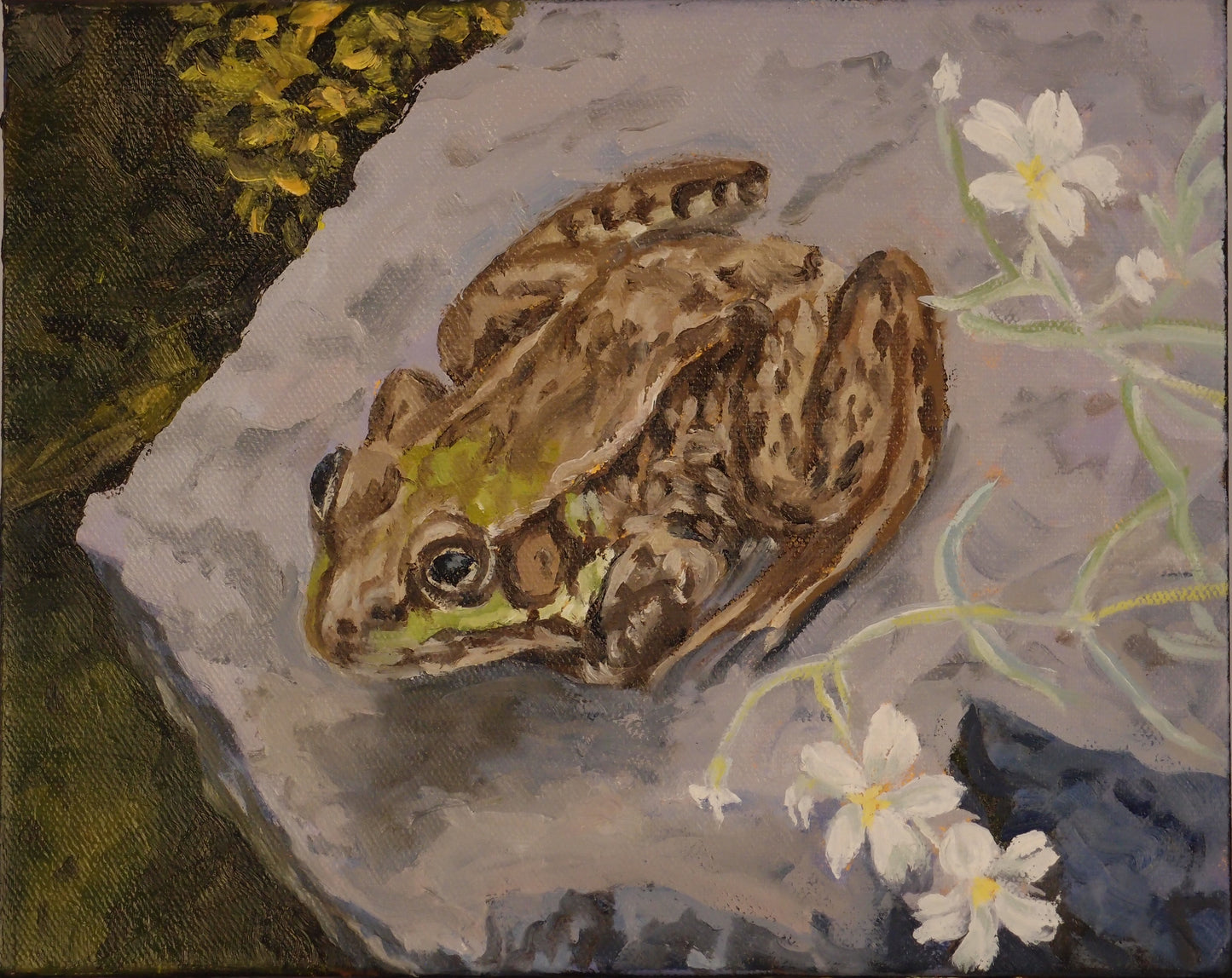 Green Frog (8 X 10)
