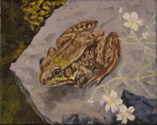 Green Frog (8 X 10)