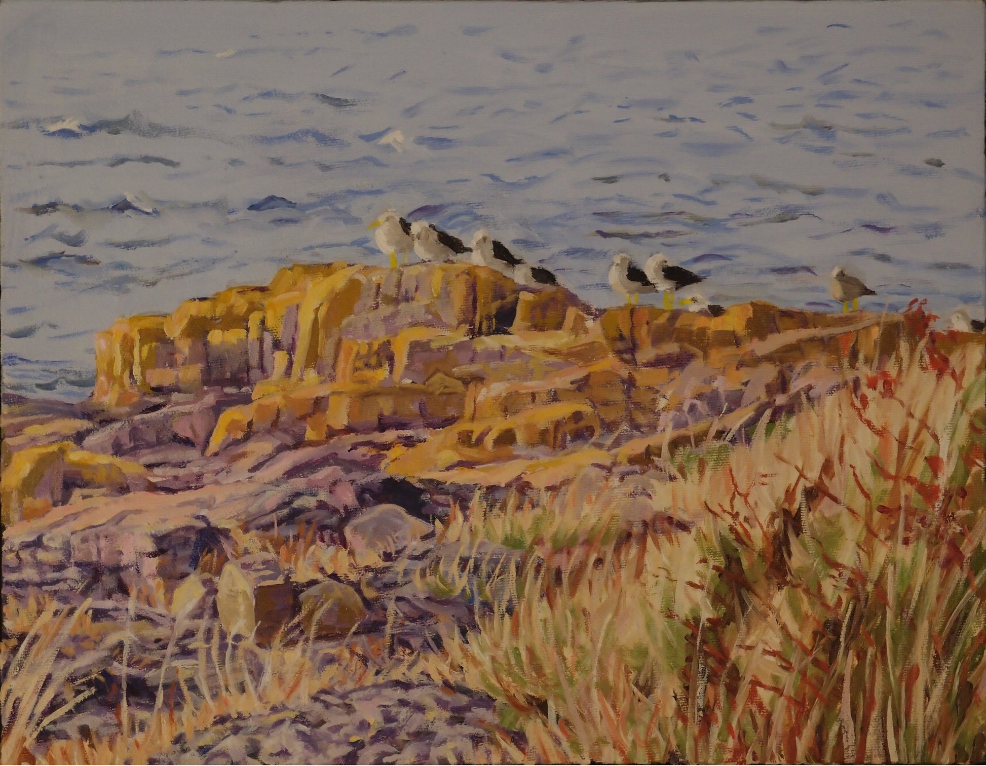 Gulls on Brier Island by Carol Morrison – oil on gallery canvas, 11x14 inches