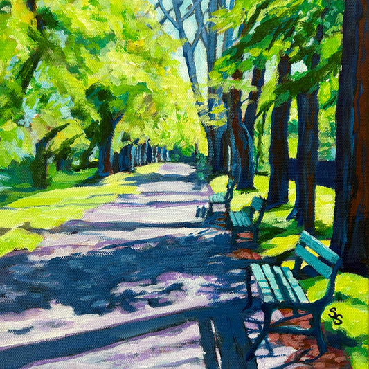 Sunlit Stroll Through the Public Gardens