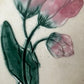 Pink tulip collection