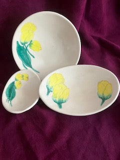 Yellow tulip collection