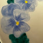 Baby blue pansies early blooms in the garden