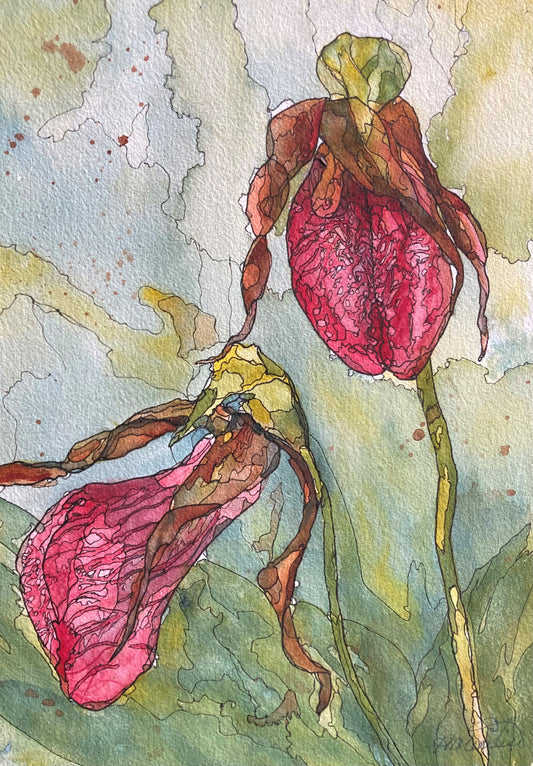 Lady’s Slippers (9" x 12")
