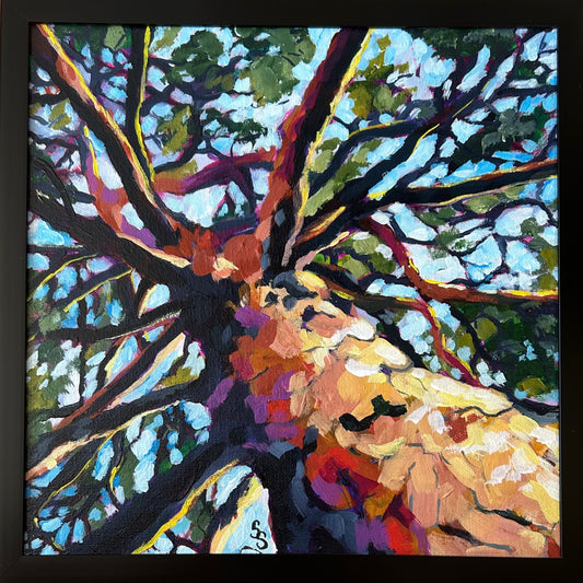Majestic Canopy (12 X 12)