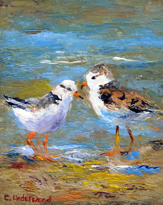 Meet & Eat by Colleen Underwood - Encaustics & Oil, 8" x 10", two plovers on a Nova Scotia shoreline