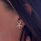 Orzo (studs)