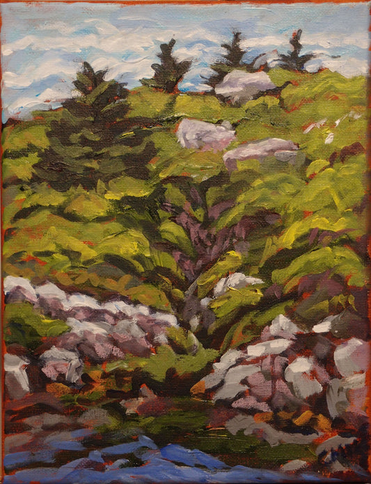 Peggy’s Cove overlooking Clam Pond(10 X 8)
