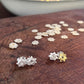 Stellini (studs)