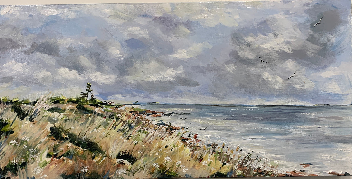 September’s  Song..Brule Point (15 X 30)