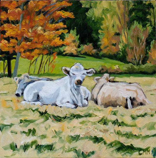 Sleepy Afternoon (12 X 12)