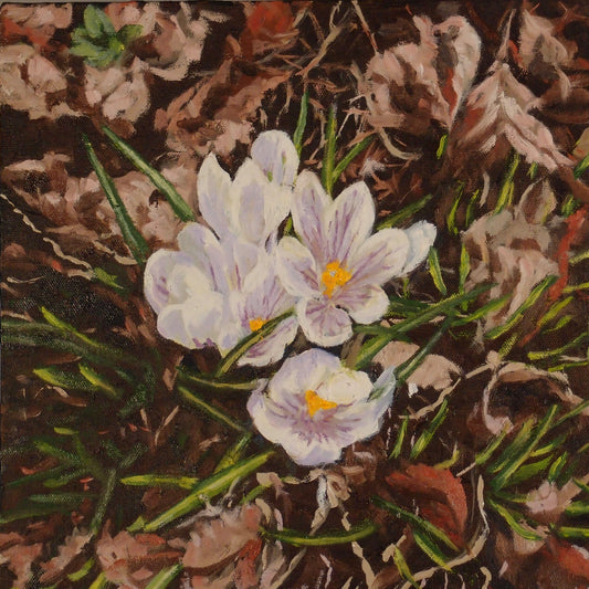 Spring crocuses (12" X 12")