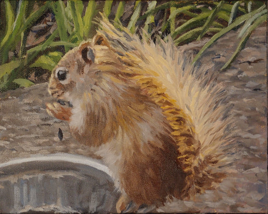 Squirrel (8 X 10)