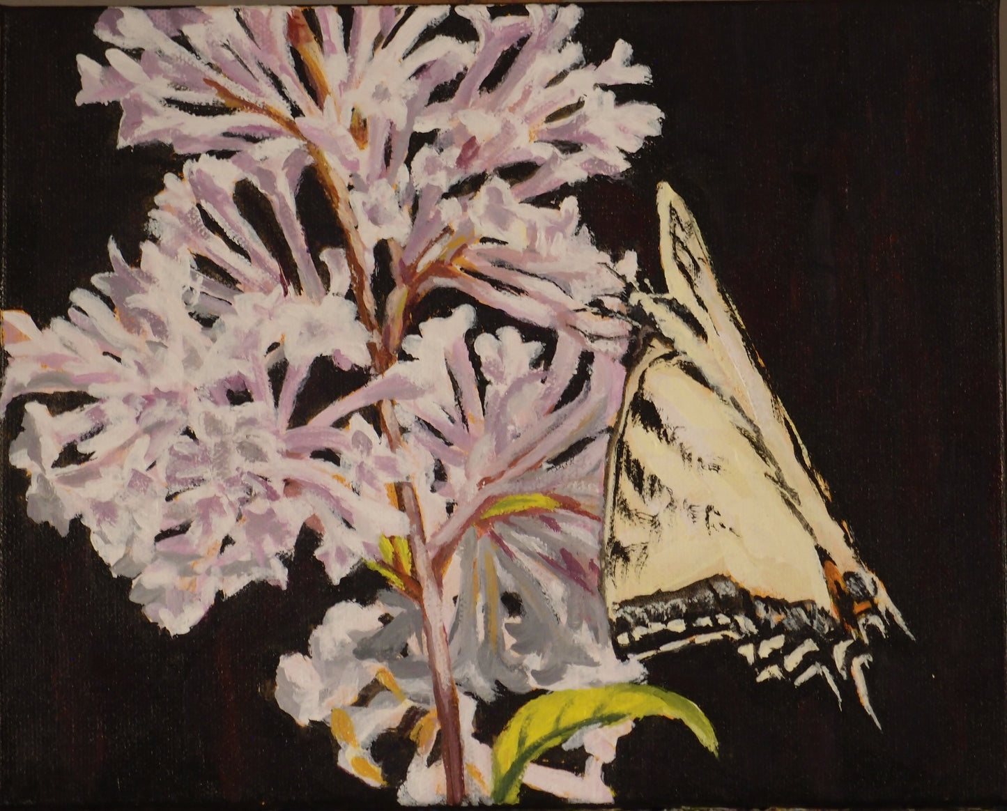 Swallowtail butterfly and lilac (8 X 10)