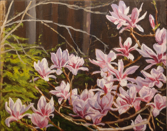Tulip Magnolia (11 X 14)