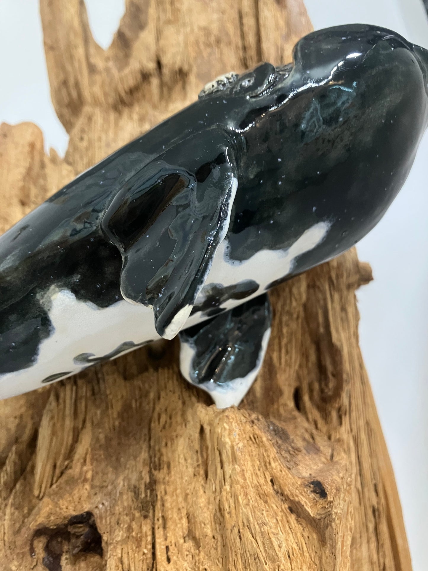 The Right Whale For Our Times