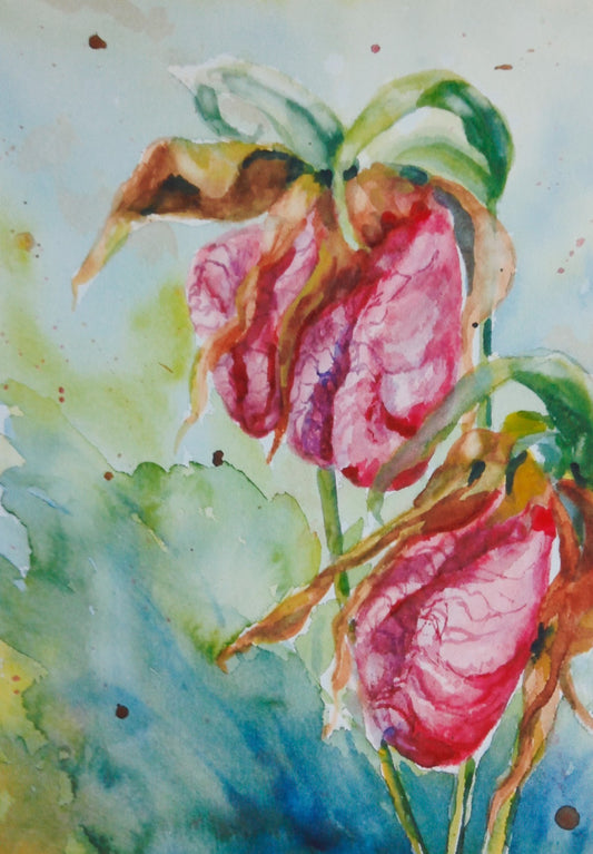 Lady’s Slippers II (9" x 12")